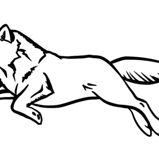 Wolf- MORO (white)