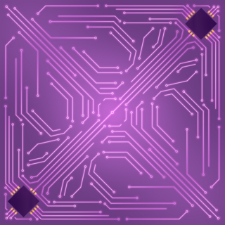 Air Line Large Circuit Bandana