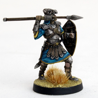 Legionnaire (Follower)