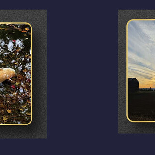 Photo Pin
