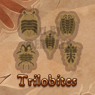 Trilobite Pin Set