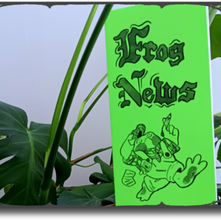 Frog News