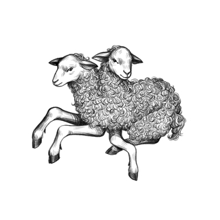 Two Headed Lamb Sticker