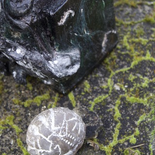 Hardboiled detective for Cthulhu Cultist who added €55 on KS