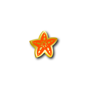 Accent Pin | Sea Star - Orange