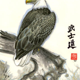 Art Print - Sky Warrior - Bald Eagle