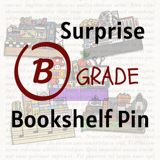 Surprise B Grade Bookshelf Pin