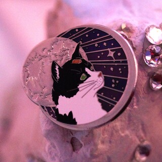 Félicette the First Cat in Space Enamel Pin