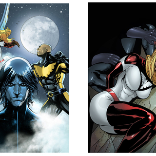 Two Favorite Goshawk and Falconet V2 Covers