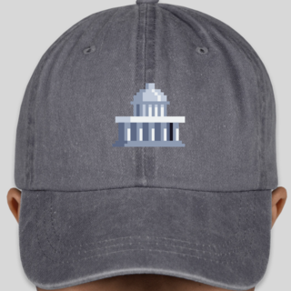 8-bit Capitol Hat