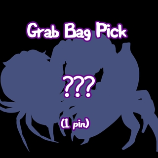 1 Random Spider Pin