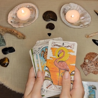 Floridian Mythos Oracle deck