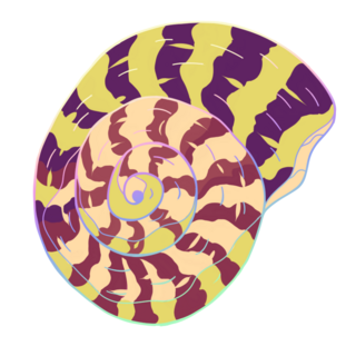 sea shell pin