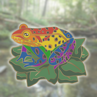 Rainbow Frog 2" Pin