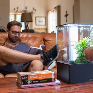 Get $80 OFF EcoQube Air for Fresh Herbs & Decorative Plants