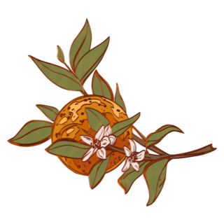 Orange Bough Enamel Pin