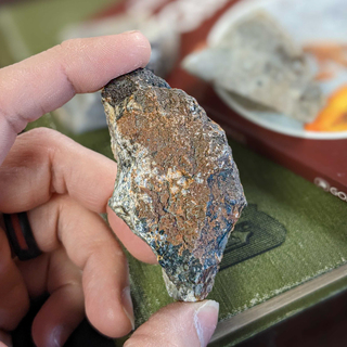 Handheld Dinosaur Dung (Coprolite) Fossil