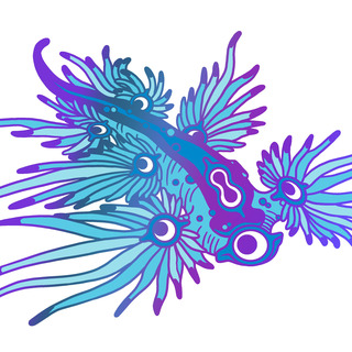 Nudibranch Pin Rainbow
