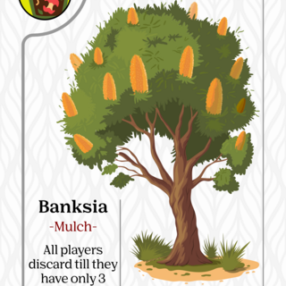 Australian Exclusive