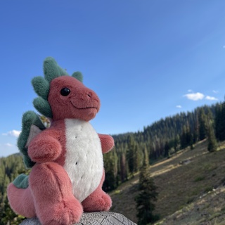 Dragon Fruit Dragon Plush