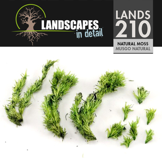 Natural Moss (210)
