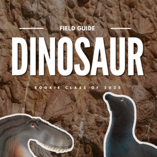 Field Guide: Dinosaur Rookies Class of 2025 (PDF)