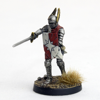 Questing Knight of Tahnar (Hero)