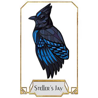 Steller's Jay Pin