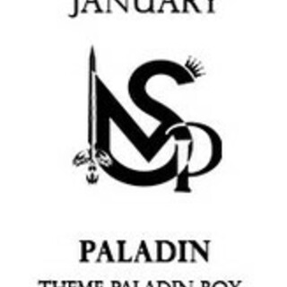 Paladin Mystery Box (January Delivery)