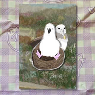 Australian Albatross Enamel Pin