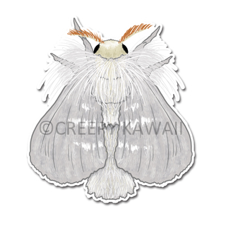 White Flannel Moth 3" Vinyl Sticker