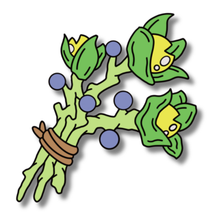 Foraged Herbs (Fantasy)