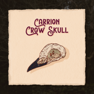 Carrion Crow Skull Pin