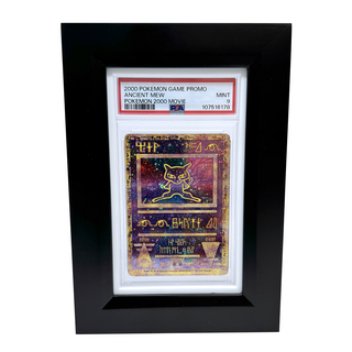 PSA Graded Wood Frame + White Bumper