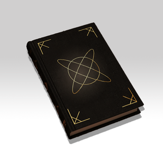 Travel journal - Favorable Skies (notebook)