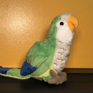 Pauli Plush
