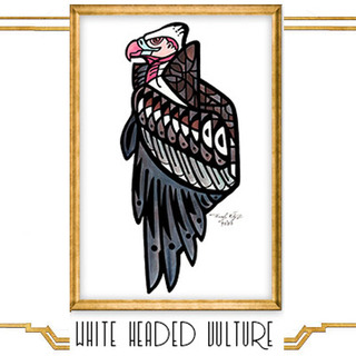 Framed Original Painting -White-headed Vulture