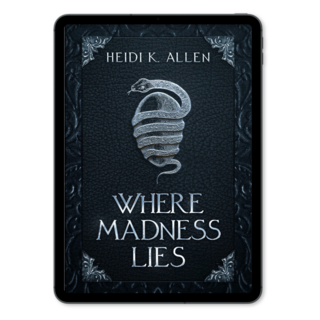 Where Madness Lies eBook