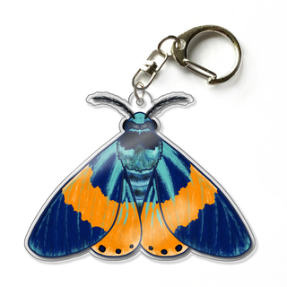 Milionia Basalis Moth 2.5" Acrylic Keychain Charm