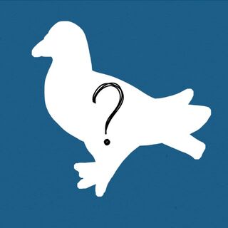 20mm Wooden Mini Pin of your choice!