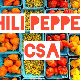 Hot Pepper CSA: Quarter Share