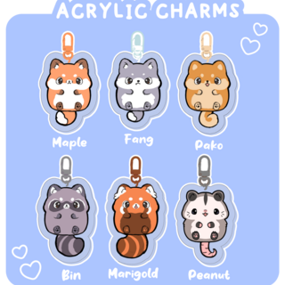 Acrylic Charms Full Set