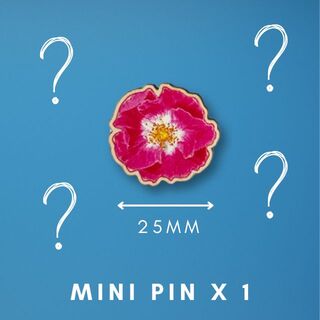 Wooden Mini Pin