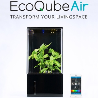 EcoQube Air