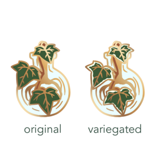 English Ivy - Choose Variant