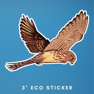 3" Kestrel Sticker