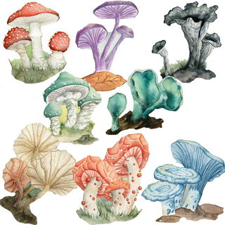 WashiSticker set