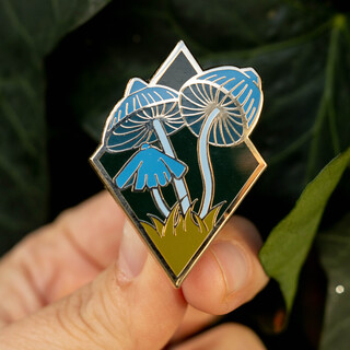 Pin Entoloma Hochstetteri