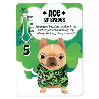 ⭐ Only available as an Exclusive add-on - Ace of Spades Fartace KSE Card -
