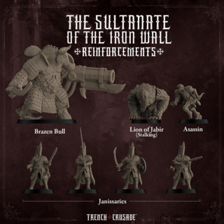 Sultanate of the Iron Wall Reinforcements set - Physical